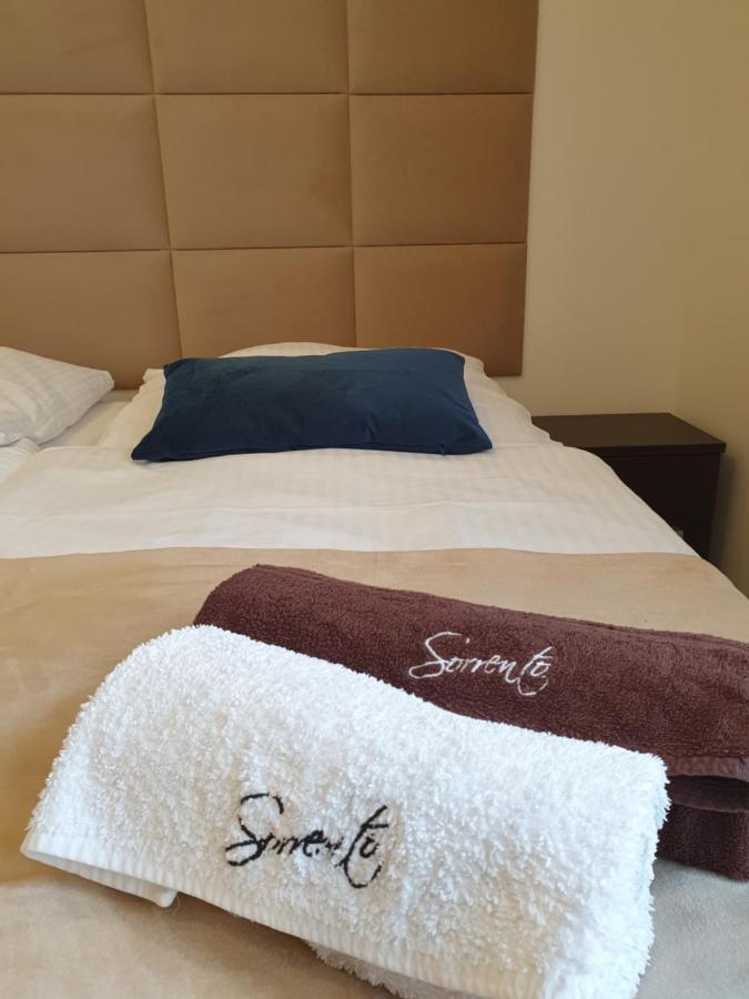 Hotel Ow Sorrento à Bystrzyca Kłodzka Extérieur photo